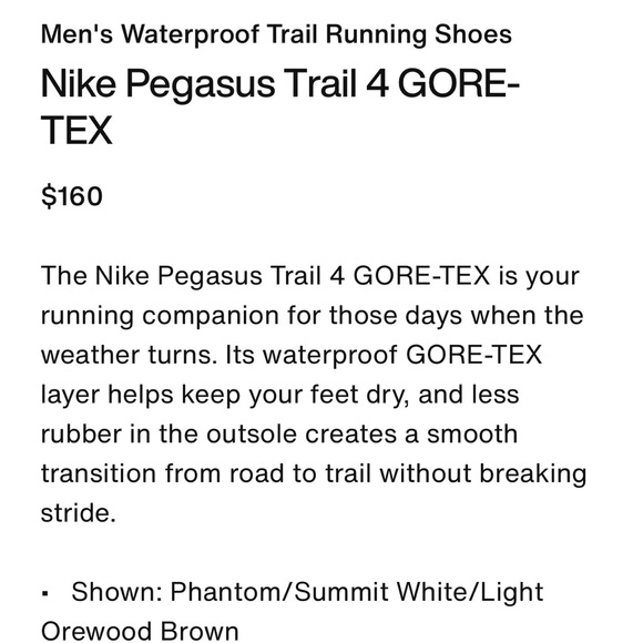 11.5 Nike Pegasus gore-Tex - Picture 2 of 10